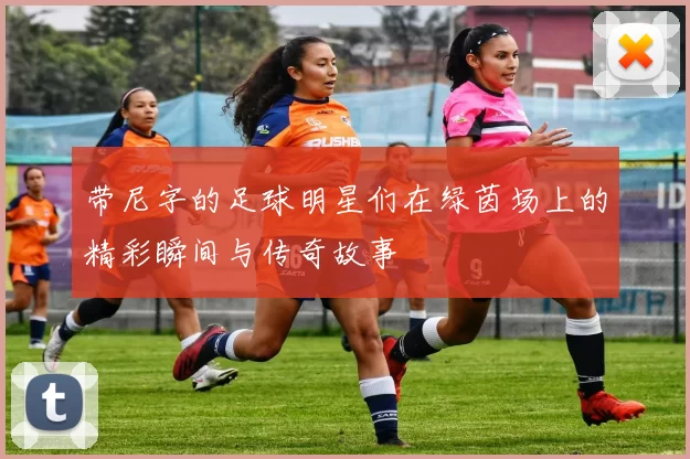 带尼字的足球明星们在绿茵场上的精彩瞬间与传奇故事