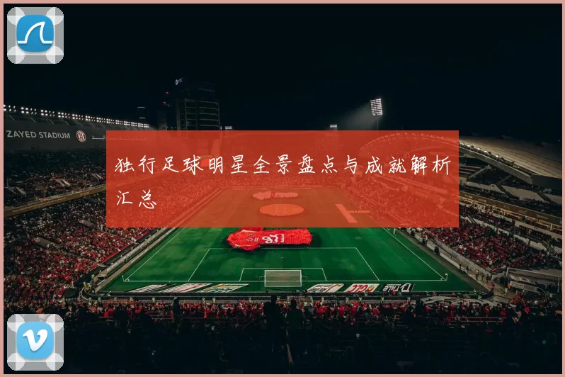 独行足球明星全景盘点与成就解析汇总