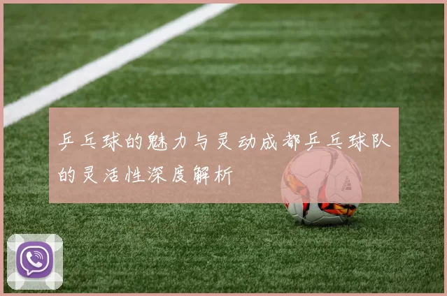 乒乓球的魅力与灵动成都乒乓球队的灵活性深度解析