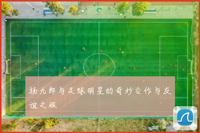杨九郎与足球明星的奇妙合作与友谊之旅